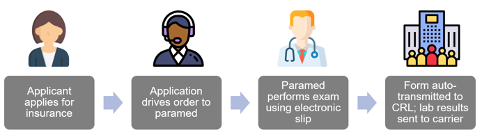 Electronic Lab Slip Process Snapshot